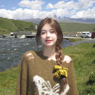 致命追击 2009